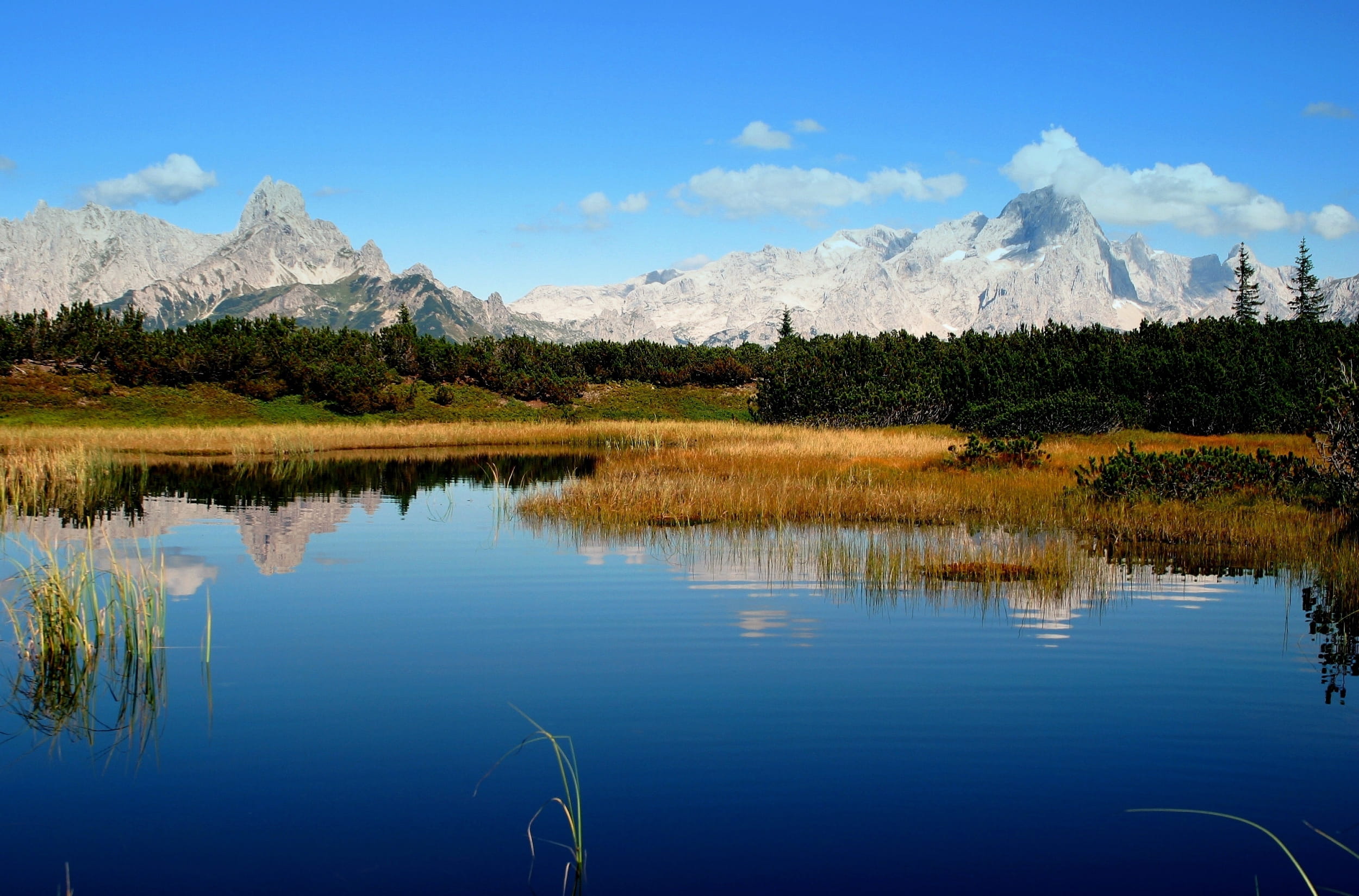 unterduermoos-sschwarze Lacke